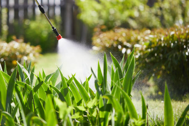Tamper-Resistant Bait Stations for Rodents in St. David