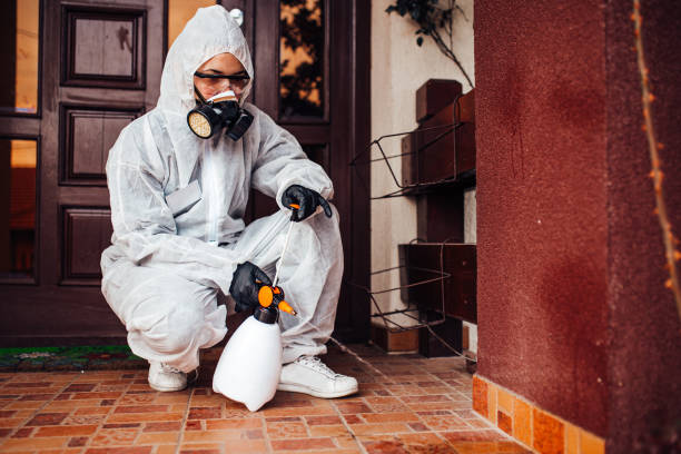 Attic and Crawl Space Rodent Treatment in St. David